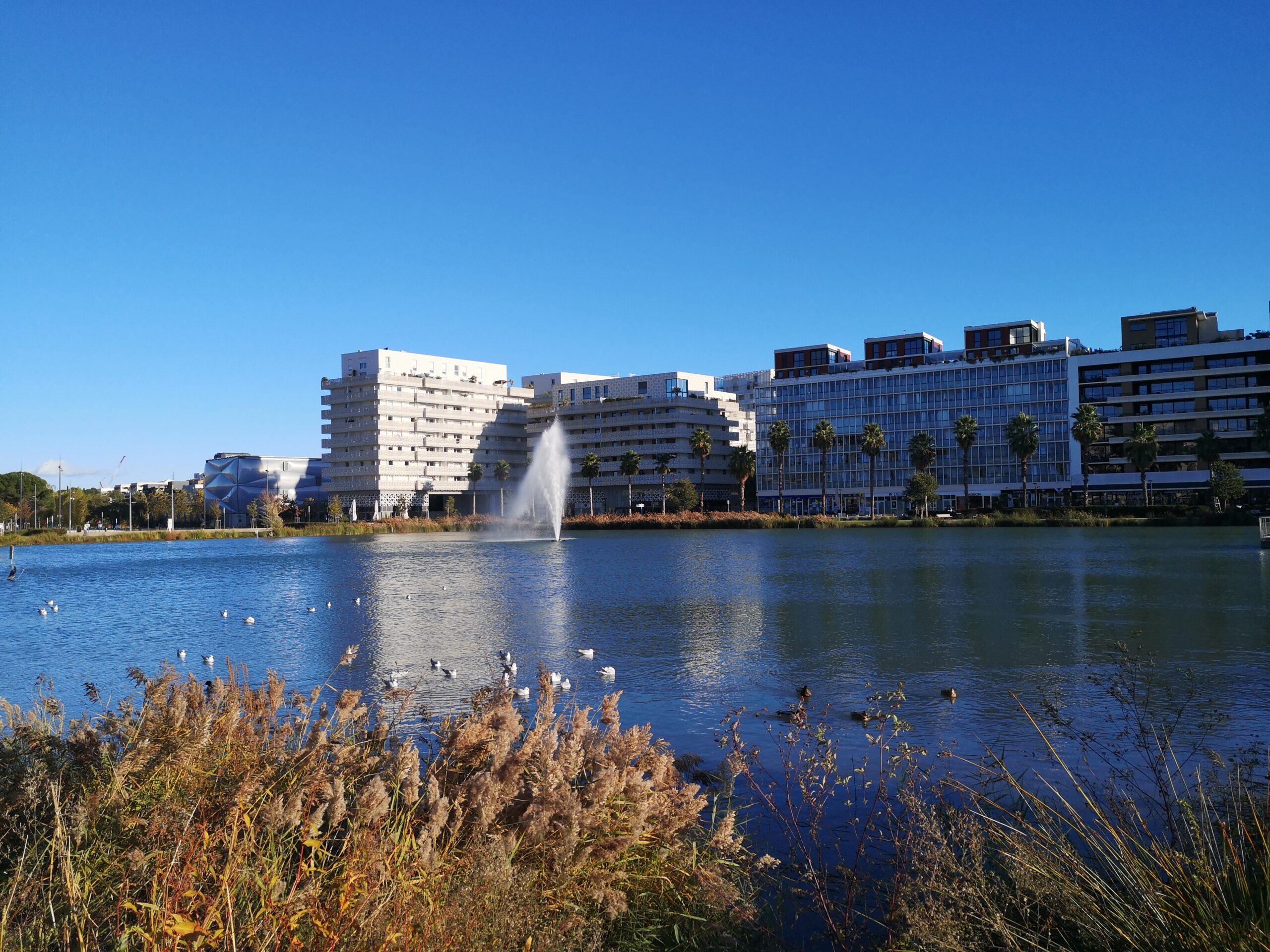Plan esthétique chantier Montpellier
